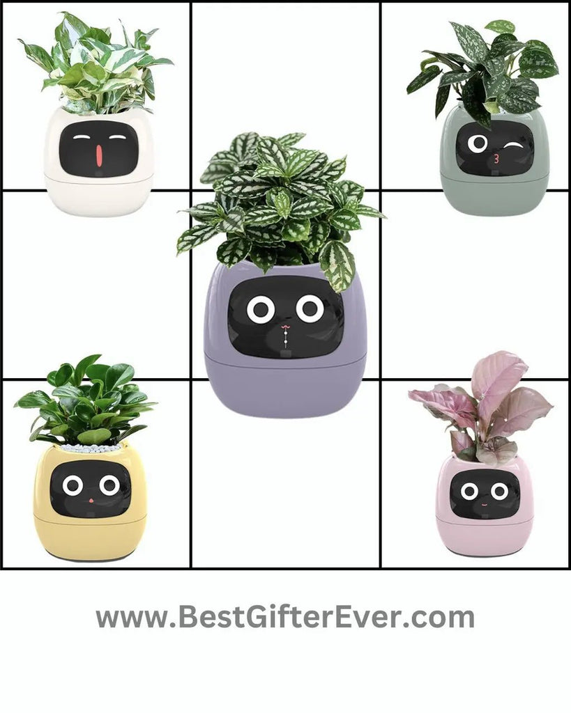 Family Oriented Fun Gifts: Unique Ideas for Every Member
