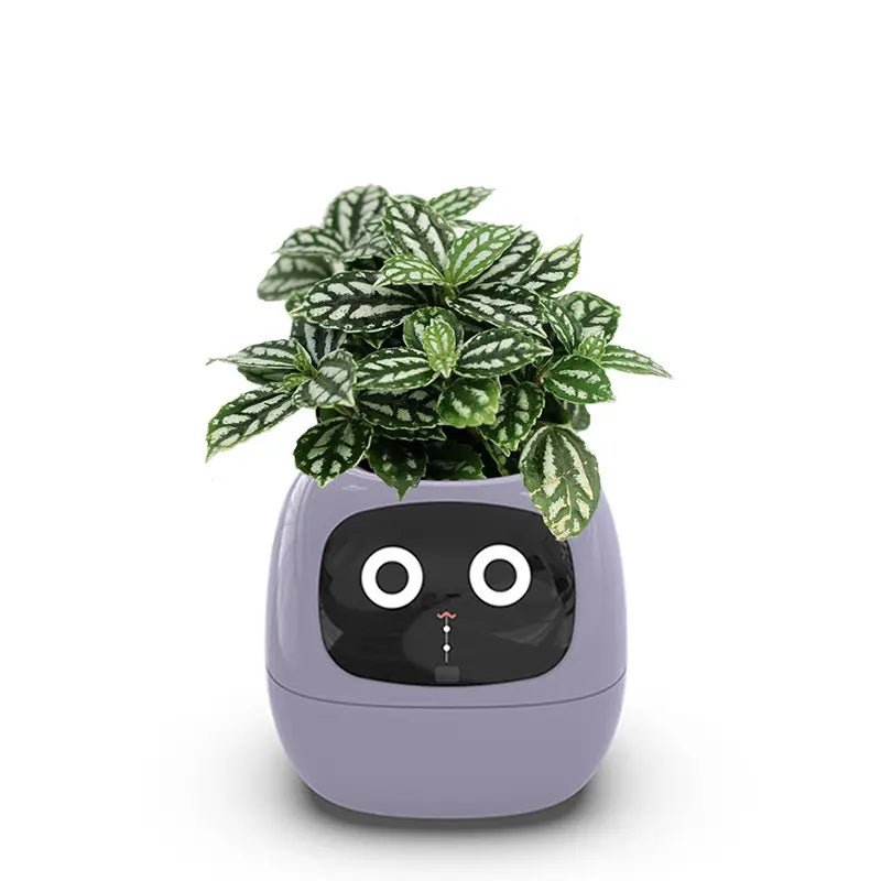 Surprise Them with These Mood-Boosting Finds