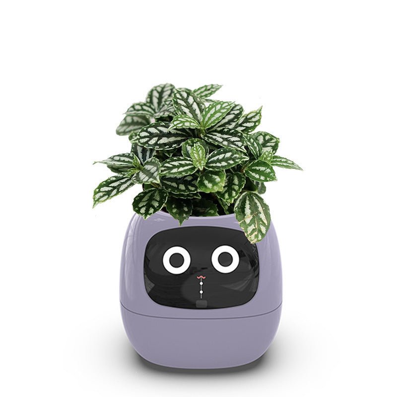 High - End AI Smart USB Planter - WiFi Connected, Interactive, Eco - Friendly with Emotional Pet Display - Best gift for gardeners. Educational gift for children. Indoor planters.  This Ivy plantagochi provides hours of entertainment and learning!