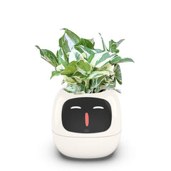 Premium Ivy Plantagochi. Lit presents. Best gifts 2025. Best present ever. AI gifts. Sustainable gifts.
