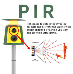 Eco-Friendly Animal Deterrent Device. Ultrasonic Bark Stopper Near Fence. Repeller For Birds Flying Into Windows.