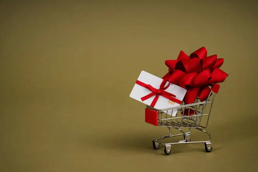 10 Top Layer Gifts Under $50 That Will Wow Your Loved Ones - Best Gifter Ever