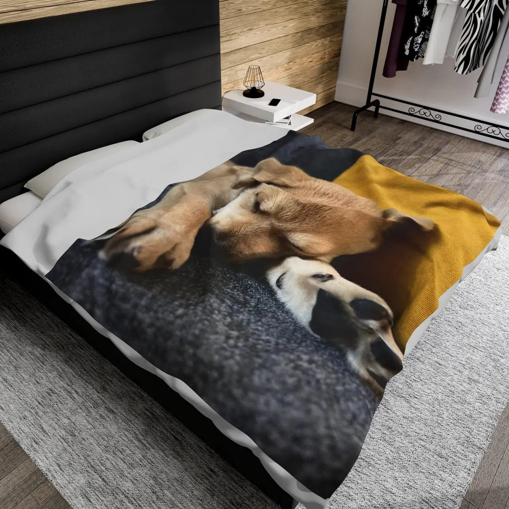12 Unique Gifts for Pet Owners That Will Make Their Day