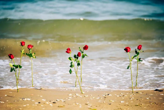 15 Budget-Friendly Gifts Under $50 for a Memorable Beach Romance - Best Gifter Ever