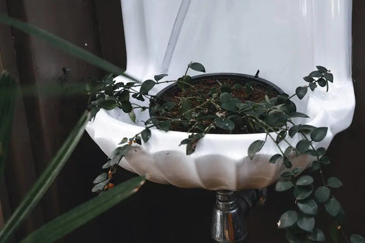 7 Unique Planter Ideas for the Perfect Gift - Best Gifter Ever
