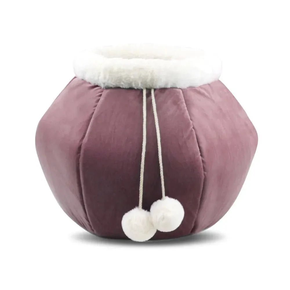 Healthy Cats, Happy Homes: The Best Cat Gifts for a Purr-fect Life