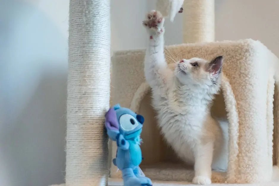 Smart Pet Toys: Ease Separation Anxiety with the Perfect Interactive Pet Toy