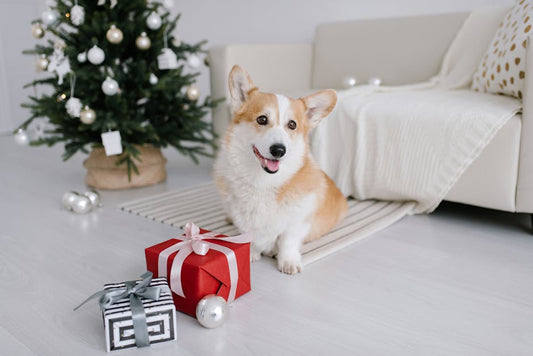 The Ultimate Modern Decoration Gifts for Every Dog and Puppy Lover - Best Gifter Ever