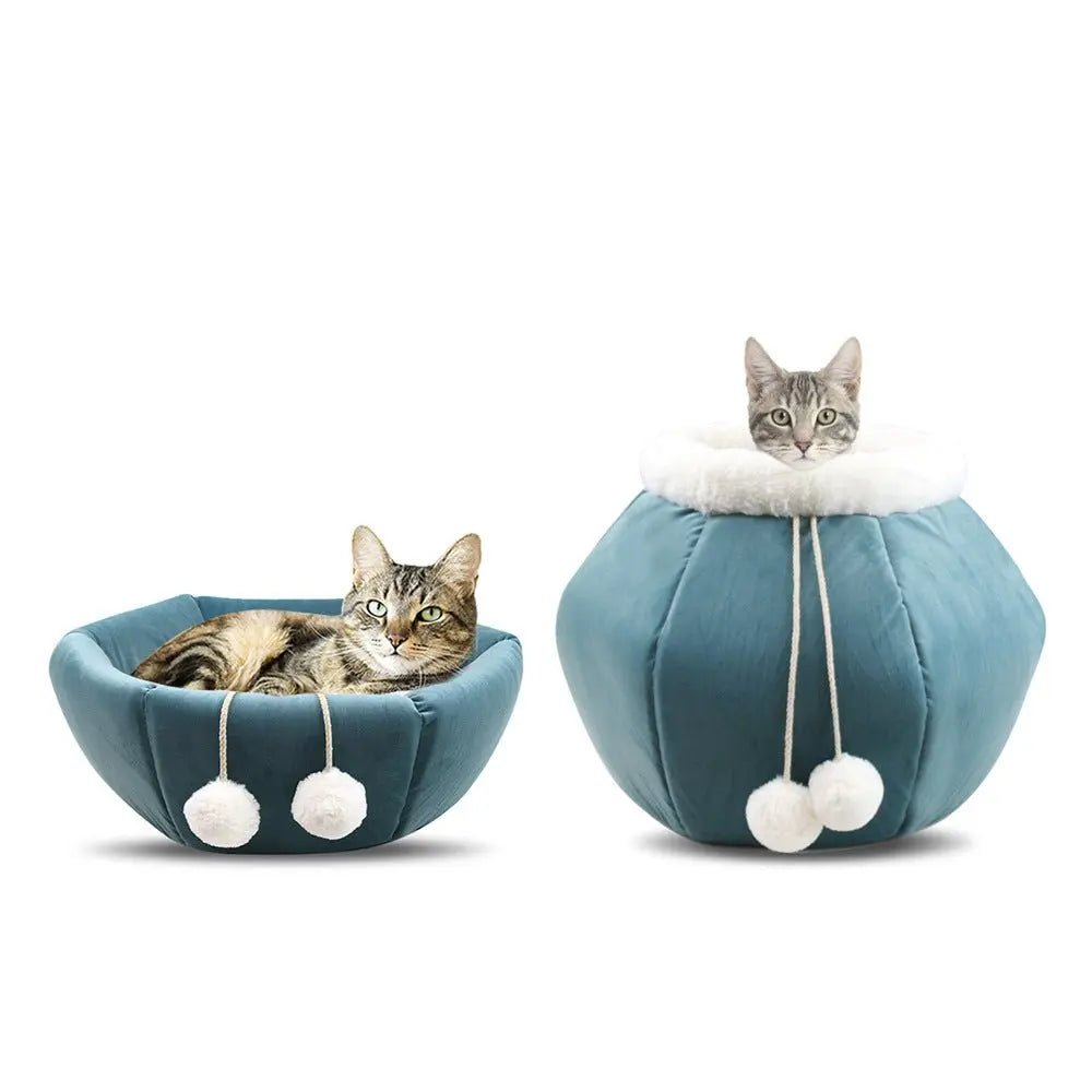 What Are The Latest Pet Care Trends for 2025?