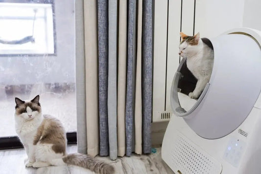 Why Your Outdated Litter Box is a Health Hazard: Upgrade to the Modern Automated Cat Litter Box Today! - Best Gifter Ever