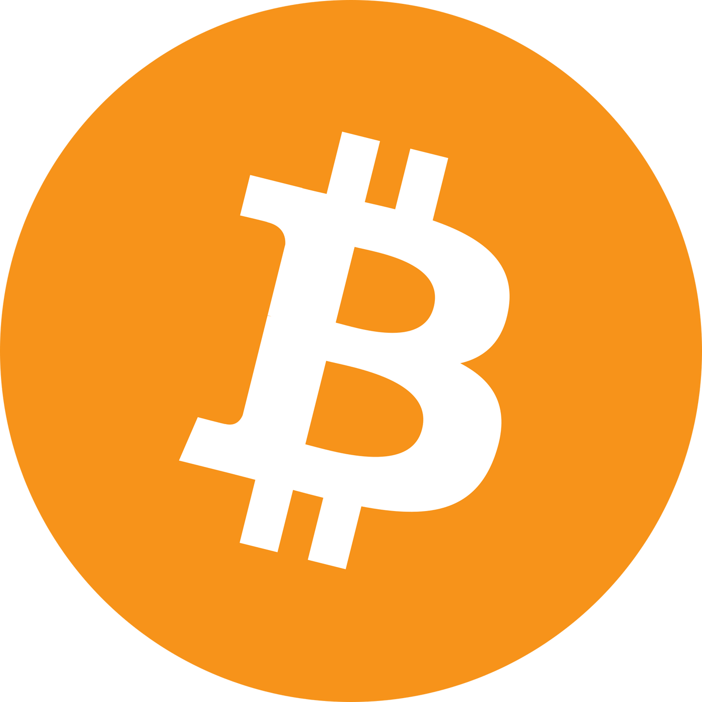 High performance athleticwear for Bitcoin lovers. BTC gear. Bitcoin merchandise.
