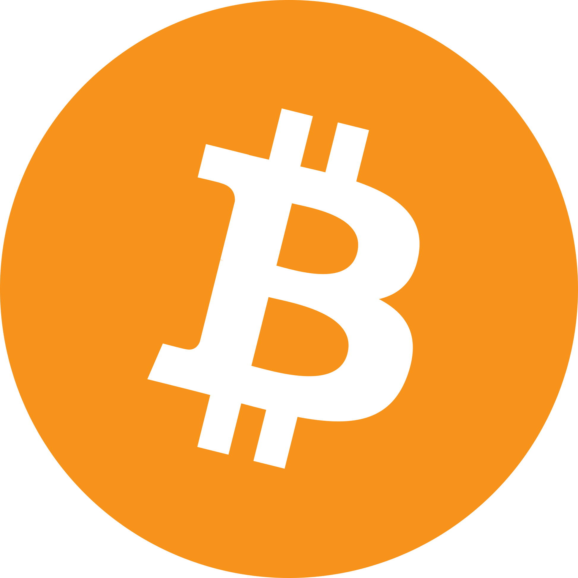 High performance athleticwear for Bitcoin lovers. BTC gear. Bitcoin merchandise.