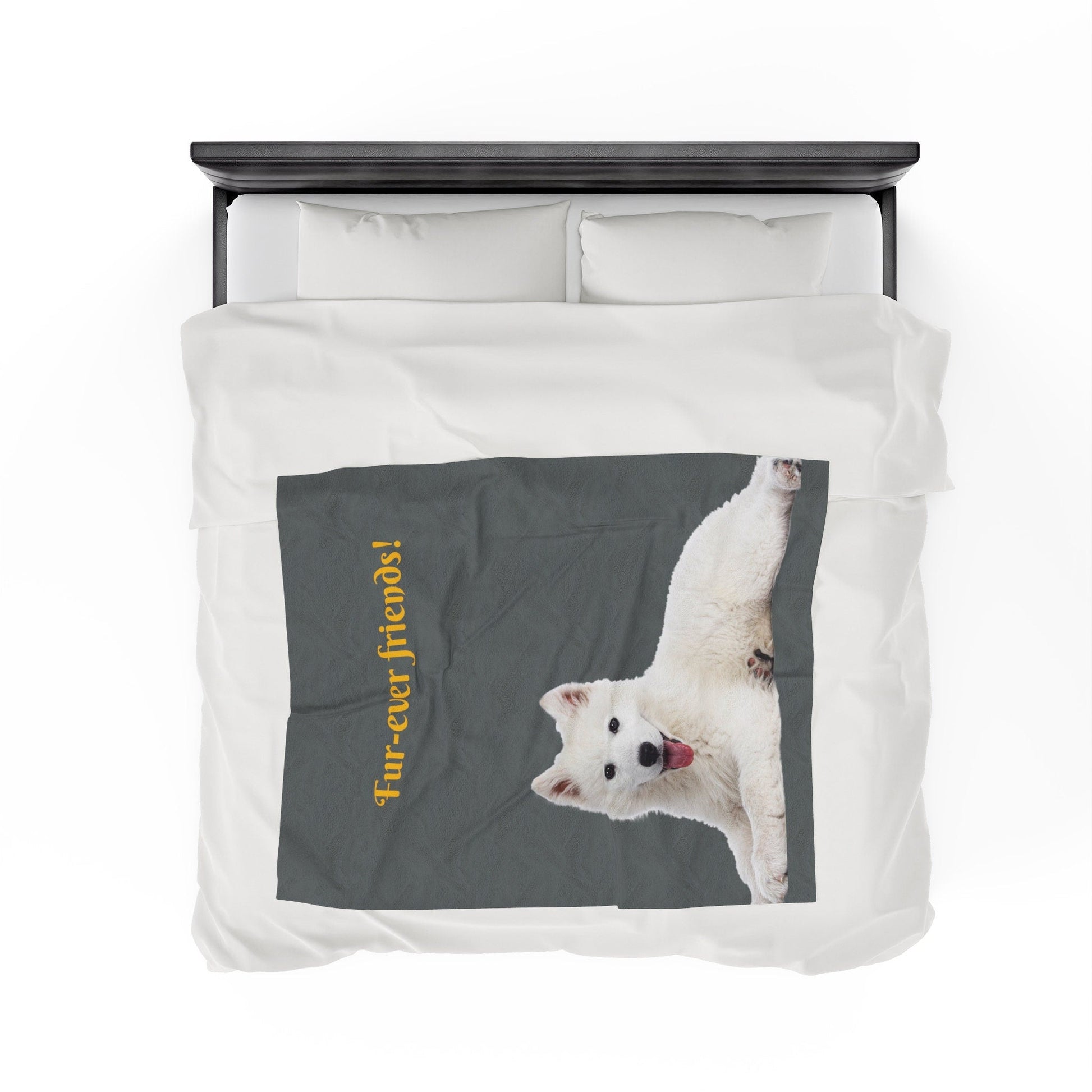 Best gifts for dog owners. Gifts for elderly. Best gifts for grandparents.