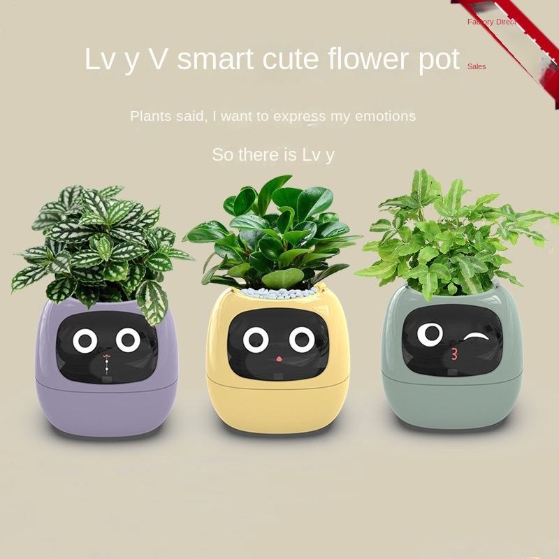 Gifts for all occasions. Best gifts for anyone. Gifts for hard to shop people. Smart home decor. Modern home decor ideas.