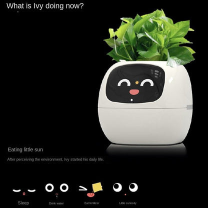 Interactive indoor planter. Electronic toys for kids. Electronic gadgets for adults.