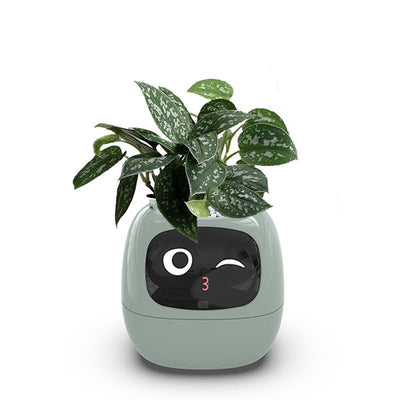 High-End AI Smart USB Planter - WiFi Connected, Interactive, Eco-Friendly with Emotional Pet Display