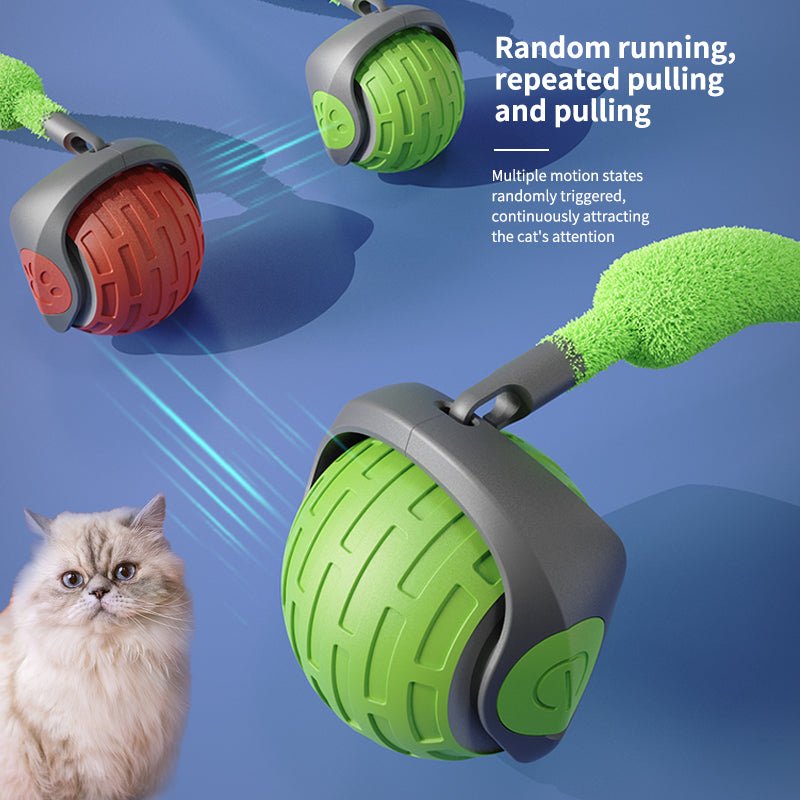 Pulling, running, thrusting teasing toy for cats and dogs. Randomly triggered by your pet. Hours of fun for your pet.