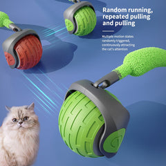 Pulling, running, thrusting teasing toy for cats and dogs. Randomly triggered by your pet. Hours of fun for your pet.