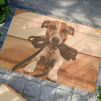 Front door mat with rubber backing keeps home clean