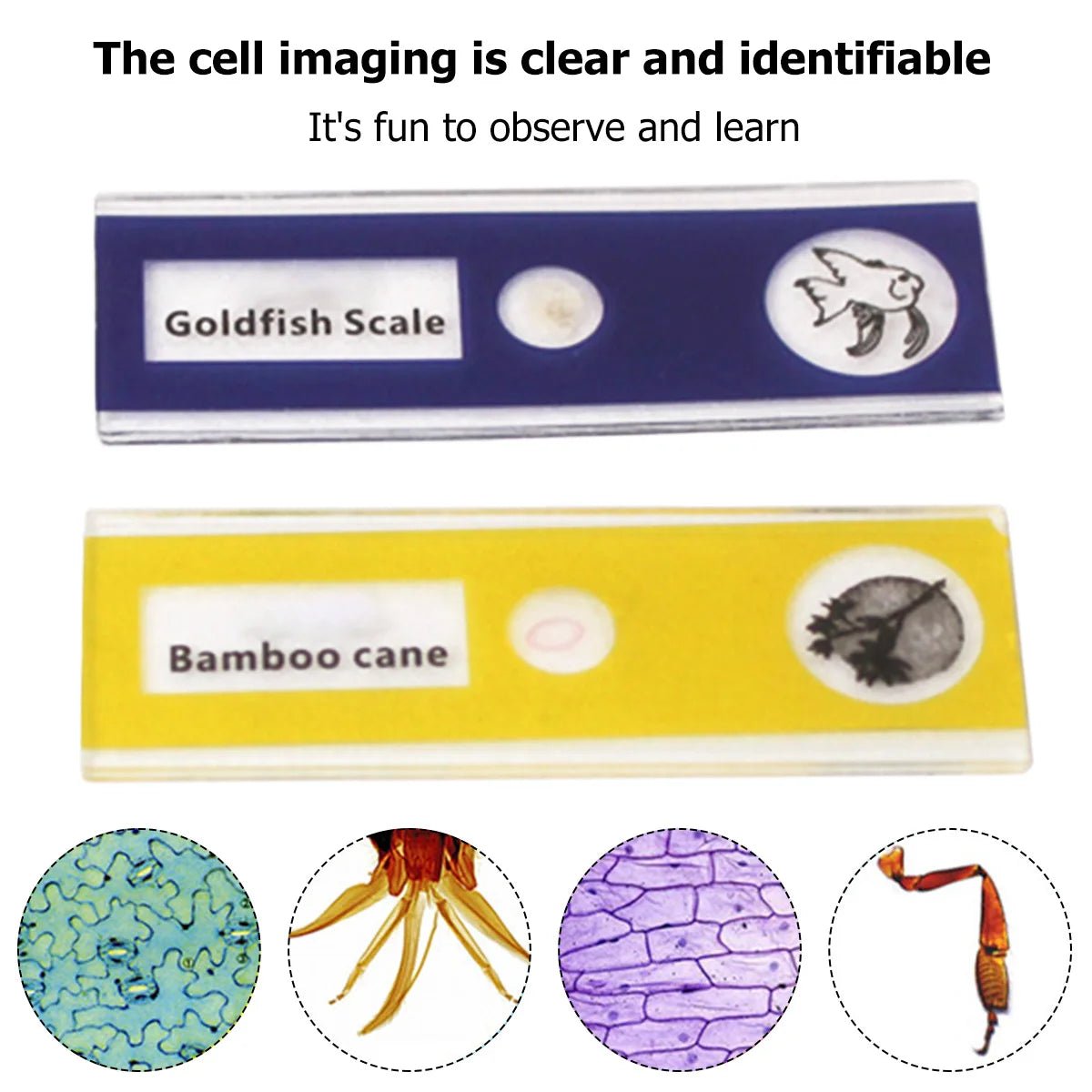 Pocket Science Tool. Microscope For Young Scientists. Learning by doing microscope for kids.