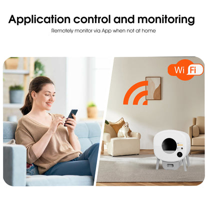 Owner checking the litter box remotely over Wi-Fi from the couch
