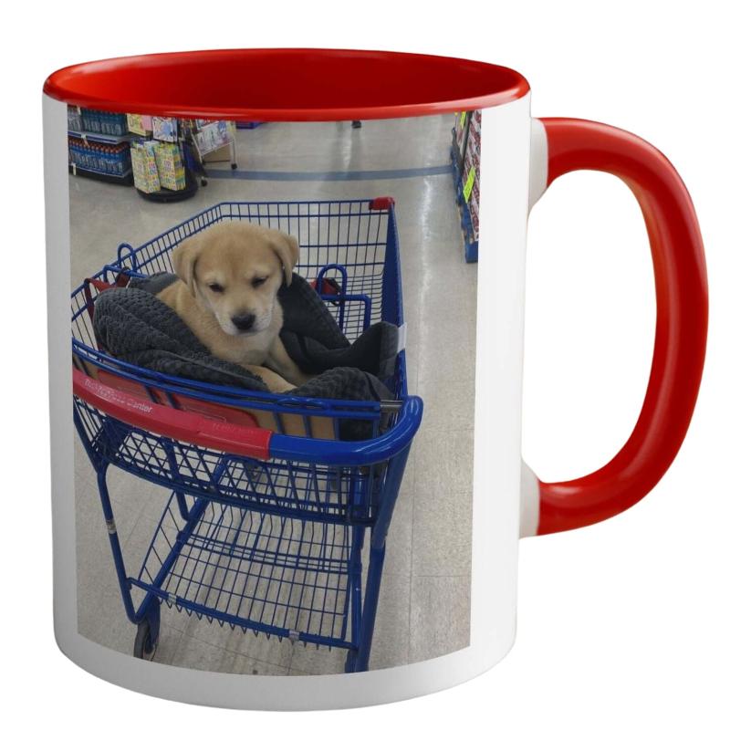 Trending Gift: 'Not Lazy Coffee Mug' - ‘Energy Efficient’, Perfect Xmas Present